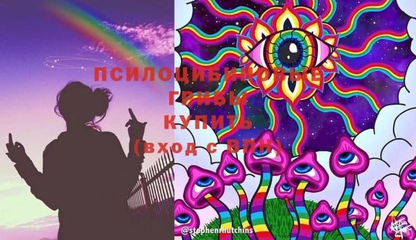 дмт Нея