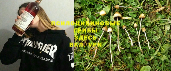 прущие крисы Беслан