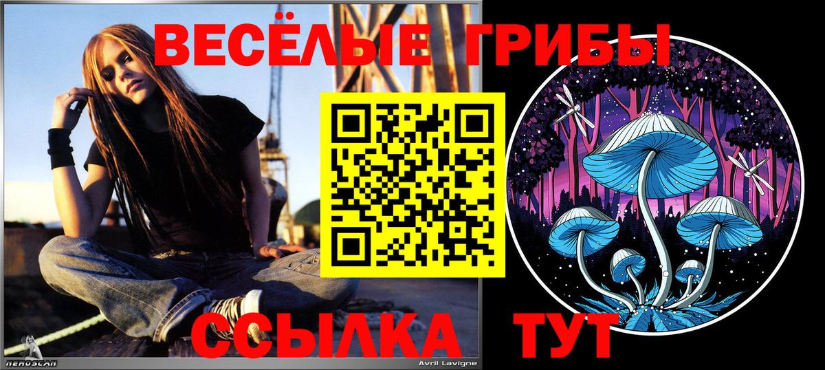 Псилоцибиновые грибы прущие грибы  Вход с VPN  Луга 
