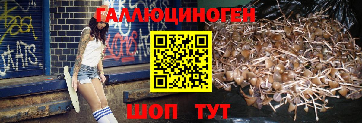 как найти   Луга  Псилоцибиновые грибы ЛСД 