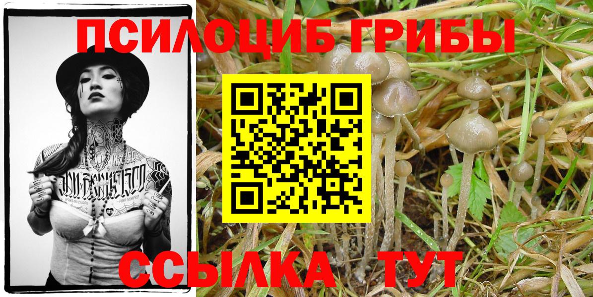 Галлюциногенные грибы Magic Shrooms Луга