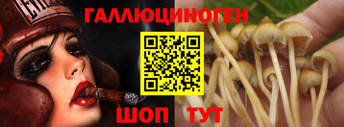 А ПВП СОЛЬ   COCAIN  ГАШИШ  Луга  Лсд 25  Мефедрон   Цена  Бошки Шишки  Вход с VPN  Вейп ТГК 